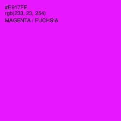 #E917FE - Magenta / Fuchsia Color Image