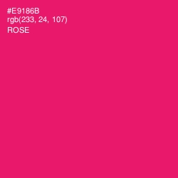 #E9186B - Rose Color Image