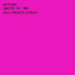 #E918BC - Hollywood Cerise Color Image