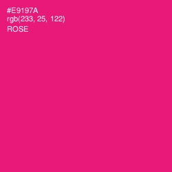 #E9197A - Rose Color Image