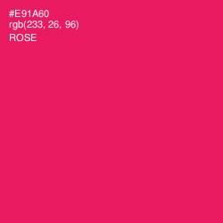 #E91A60 - Rose Color Image