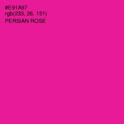 #E91A97 - Persian Rose Color Image