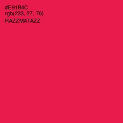 #E91B4C - Razzmatazz Color Image