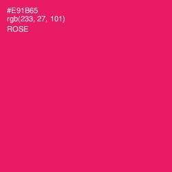 #E91B65 - Rose Color Image