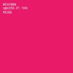 #E91B68 - Rose Color Image