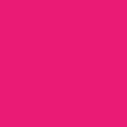 #E91B74 - Rose Color Image