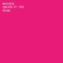 #E91B78 - Rose Color Image