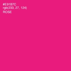 #E91B7C - Rose Color Image