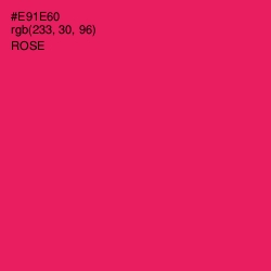 #E91E60 - Rose Color Image