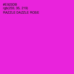 #E923DB - Razzle Dazzle Rose Color Image