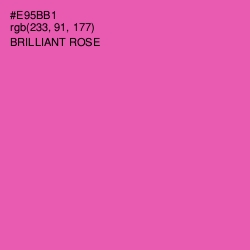 #E95BB1 - Brilliant Rose Color Image