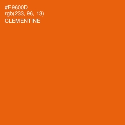 #E9600D - Clementine Color Image