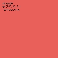 #E9605B - Terracotta Color Image
