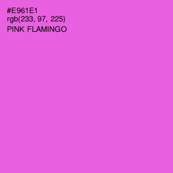 #E961E1 - Pink Flamingo Color Image