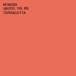 #E96D59 - Terracotta Color Image