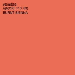 #E96E53 - Burnt Sienna Color Image