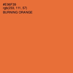 #E96F39 - Burning Orange Color Image