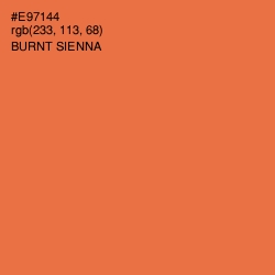 #E97144 - Burnt Sienna Color Image