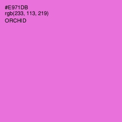 #E971DB - Orchid Color Image