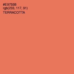 #E9755B - Terracotta Color Image