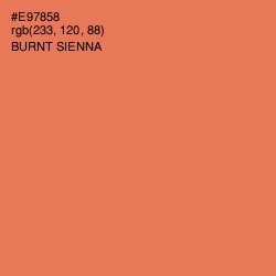 #E97858 - Burnt Sienna Color Image