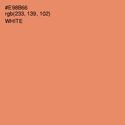 #E98B66 - Apricot Color Image