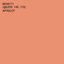 #E99171 - Apricot Color Image