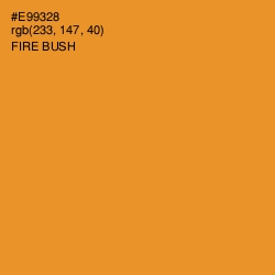 #E99328 - Fire Bush Color Image