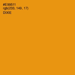 #E99511 - Dixie Color Image