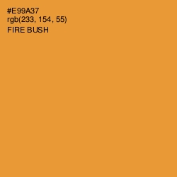 #E99A37 - Fire Bush Color Image