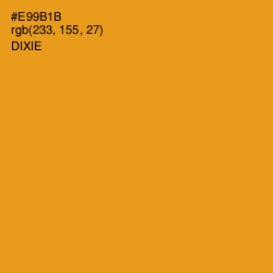 #E99B1B - Dixie Color Image