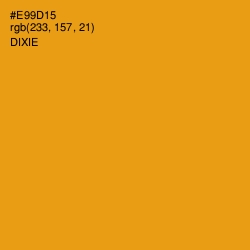 #E99D15 - Dixie Color Image