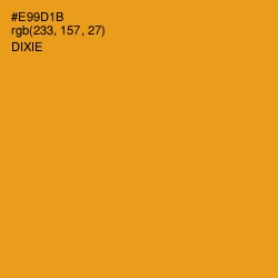 #E99D1B - Dixie Color Image