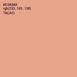#E9A58A - Tacao Color Image