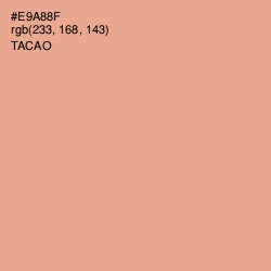 #E9A88F - Tacao Color Image