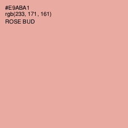 #E9ABA1 - Rose Bud Color Image