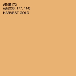 #E9B172 - Harvest Gold Color Image