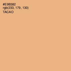 #E9B382 - Tacao Color Image