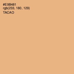 #E9B481 - Tacao Color Image