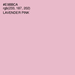 #E9BBCA - Lavender Pink Color Image