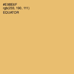 #E9BE6F - Equator Color Image