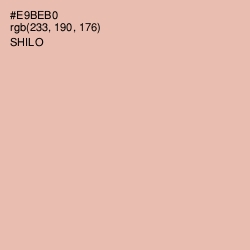 #E9BEB0 - Shilo Color Image