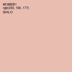 #E9BEB1 - Shilo Color Image
