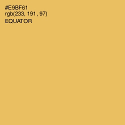 #E9BF61 - Equator Color Image