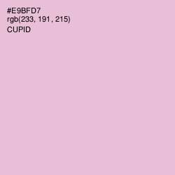 #E9BFD7 - Cupid Color Image