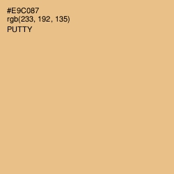 #E9C087 - Putty Color Image