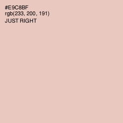 #E9C8BF - Just Right Color Image