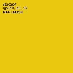 #E9C90F - Ripe Lemon Color Image