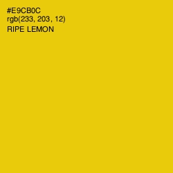 #E9CB0C - Ripe Lemon Color Image