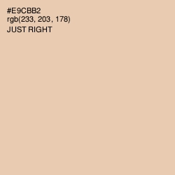 #E9CBB2 - Just Right Color Image